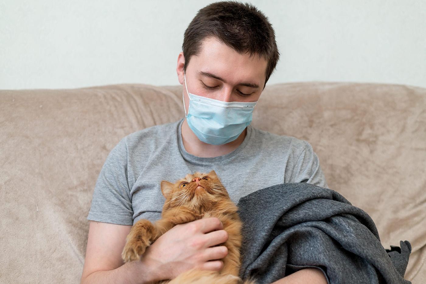 A person seated comfortably at home, holding a cat, reflecting calm, safety, and nervous system regulation during recovery